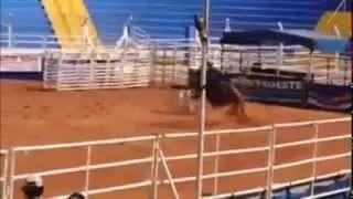 Renan Barbosa e Cutter Fly TY Rodeio de Osvaldo Cruz 2014