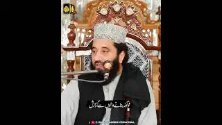 سید پیر فیض الحسن صاحب 