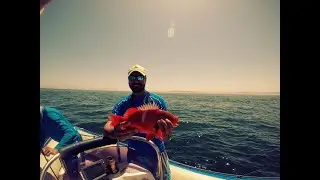 INSHORE BOTTOM FISHING FALSE BAY REEFS