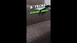 Carpet Cleaning & Making Dad Jokes