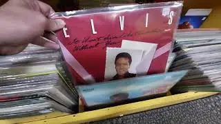 NEW ARRIVALS BINS - Record Collectors Paradise - December 26, 2025