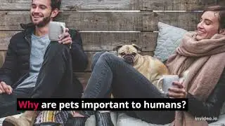 10 Reasons Why Pets Are Important to Humans!