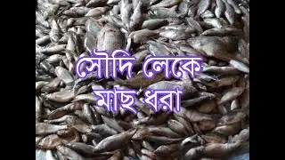 Extreme Lake Fishing in Saudi Arabia | সৌদি লেকে মাছ ধরা (Full Video)