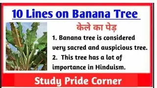 10 Lines on Banana Tree in English | 10 Lines on Banana Tree | Few Lines on Banana Tree