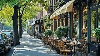 Morning Street Jazz Café in Spring 🎶☕ Smooth Coffee Jazz for Study, Work & Relaxation
