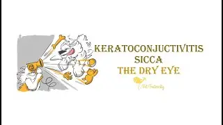 Keratoconjuctivitis Sicca _ Navle