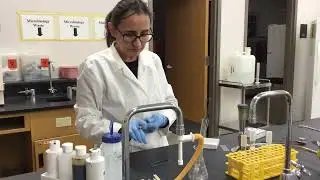 Smear preparation for Microbiology staining.