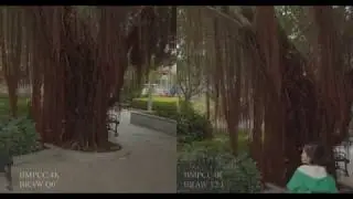 Blackmagic Pocket Cinema Camera 4K BRAW Q0 vs 12:1 Test (Cloudy Handheld HDR)