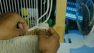 TUTORIAL TAPESTRI