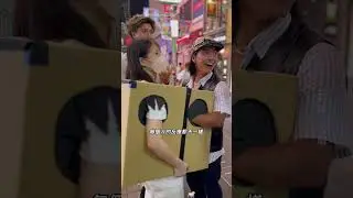 日本的街頭箱子活動