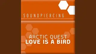 Love Is A Bird (Original Mix)