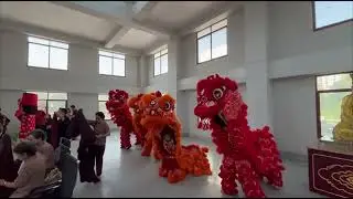 🦁Today Event 🦁#chinesenewyear #liondance #dragondance #cny 