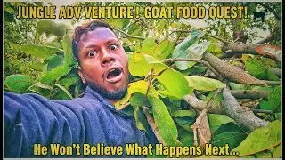 ​Bechari Bakriyan Bhookhi Thi! 🌿 Aaj Jungle mein bahut mehnat ho gayi