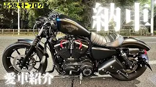 【納車後の愛車紹介】カスタム紹介 初披露 ｜Harley｜XL883n iron｜Gopro10｜Japan【4K】
