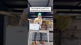 Извлечение гигантского улья из коробки