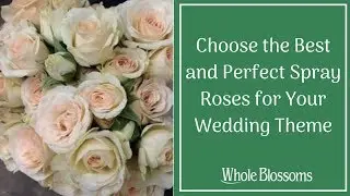 Choose the Best and Perfect Spray Roses for Your Wedding Theme