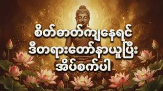 စိတ်ဓာတ်ကျနေတဲ့သူတွေအတွက် ခွန်အားဖြစ်စေမယ့် တရားတော် | DhammaWisdom #ပါချုပ်ဆရာတော်#တရားတော်များ