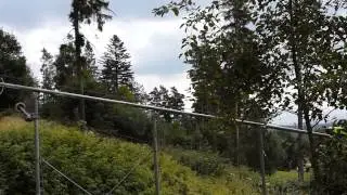 Кэти на  бобслее