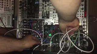 Make Noise Music Easel with Mimeophon