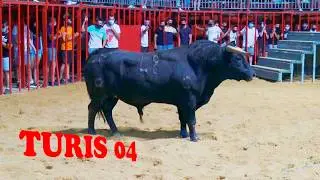 ✅2021 TURIS 04 ◾ DESAFIO Ganaderia F Machancoses de Cheste