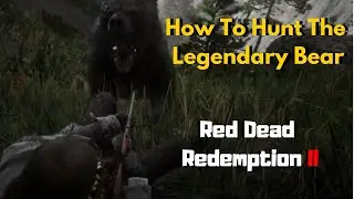 How To Find And Kill Legendary Bear Red Dead Redemption 2