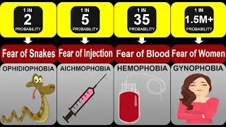 Probability Comparison: Fear & Phobia | Phobia And Fears