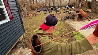Sunset Hill Longbow Black Panther and Standing Black Bear