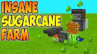 BEST SUGARCANE FARM EVER?! (MCPE/W10)