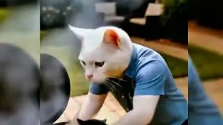 New Cat Series Is Here! 😺 | AI Animated Cat Movie