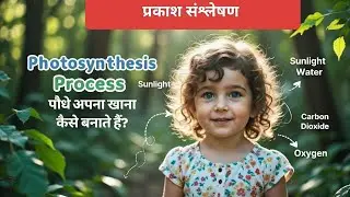 Photosynthesis for Kids: How Plants Make Food!  | प्रकाश संश्लेषण हिंदी + English में | Fun Science