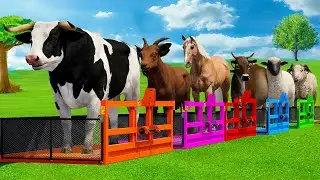 SHEEP, BULL, COW, HORSE, GOAT & RAM TRANSPORT WITH TRACTORS - FS22