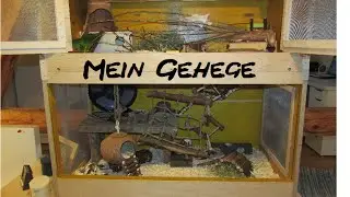 Mein Farbmausgehege -  kleine Gehegetour