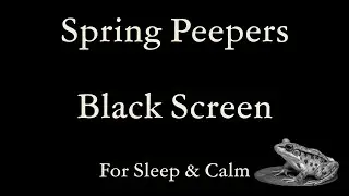 Spring Peepers: Nature's Soothing Sleep Symphony - NO Ads (ASMR Frog Sounds | Black Screen)