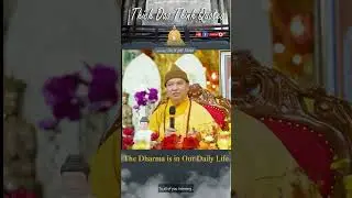 The Dharma is in Our Daily Life | Master Thich Dao Thinh | Thich Dao Thinh Quotes