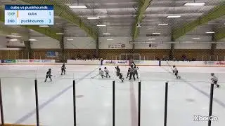 Nickel City Cubs AA 2015 vs temiskaming Shores Puckhounds AA 2015