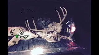 Idaho Mule Deer 2017