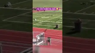 A DOG joined the race 🤯