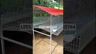 TATA hitech poultry cage for 30 hens available  #shorts