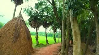 Village Road #village #natural #naturalbeauty