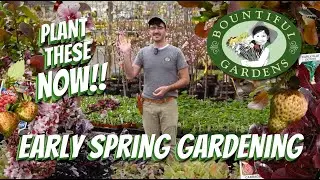 What to Plant in EARLY SPRING! - Fruit & Vegetable Gardening for the Backyard with Bountiful Gardens