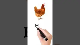 Hen bengali meaning#shorts#english learning# Hen spelling#