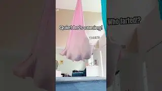 Hide in the COCOON!
