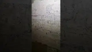 German Bunker Art