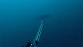 Wettie TV | SPEARFISHING Remote Marquesas TAHITI | PART TWO