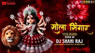 Sola Singar kar ke Lali chunariya odhe Chale AAbe  ।। Jas Geet Dj Song ।। DJ Shaniraj  ll 
