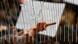 The Silent Harp | Ambient Music | 🎵 COPYRIGHT-FREE MUSIC | Free Background Music | DCFM