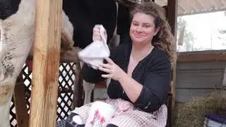 Keeping a Family Milk Cow - Starting 2020 with a new routine.