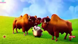 🎶 The Roaring Bison Song  | Animal Sounds and Fun Kids Song