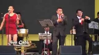 ORQUESTA INTERNACIONAL SON GAL&Uacute; - EL TELEFONO