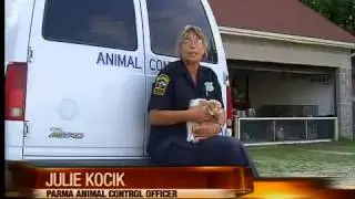 Parma Animal Hoarders